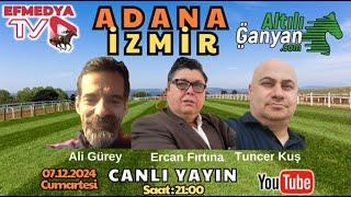 08.12.2024 Pazar İzmir ve Adana Altılı Ganyan Tahminleri