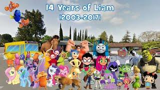 14 Years of Liam (2003-2017)
