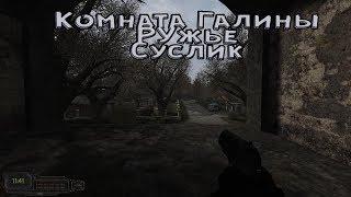 S.T.A.L.K.E.R. Вариант Омега 2: Холодное лето 2014 Схрон с ружьем, комната, Суслик