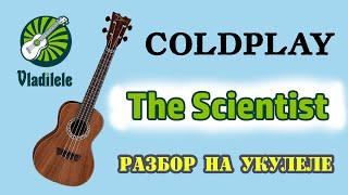 COLDPLAY - THE SCIENTIST разбор на укулеле