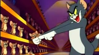 Boomerang  Identificador B Tom y Jerry) (2004)