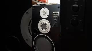 Technics SB-X500A Honeycomb Disc Speaker.