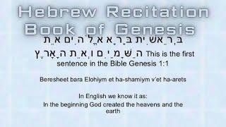 Torah | Genesis Hebrew Recitation | תורה | דקלום עברי בראשית