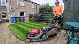 Life of a Scottish Gardener: 3 Garden Maintenance Visits - SHM Garden Services