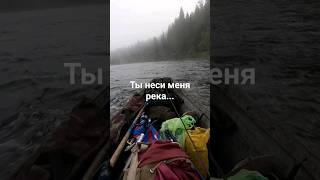 ты неси меня река #природа #река