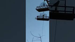Ловля чижа на западок     27.11.2021