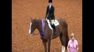 Brett Sanders: Equitation and Western Riding