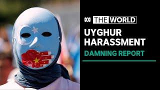 ASPI report says China's Uyghur disinformation campaign extends well beyond its borders | The World