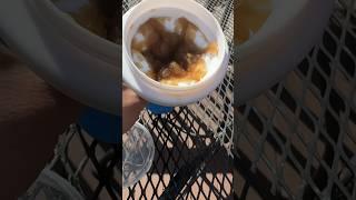 Does this slushie maker work? Watch and see! #slushie #slushee #makeslushies