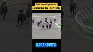 MARAKOVITS - 5ta Carrera hipódromo La rinconada R20 #foryou #caballos #inh #hipismo #parati #race