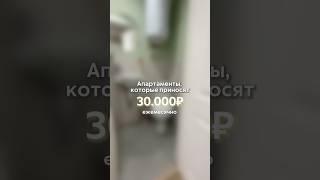 POV Апартаменты, которые приносят 30 т.р. в месяц. Обзор от первого лица. #shorts #апартаменты