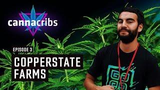 Canna Cribs: E3 - Copperstate Farms - 40 Acre Greenhouse in Arizona
