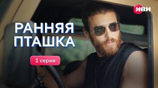 Ранняя пташка | 1 серия | Все серии смотри на Иви