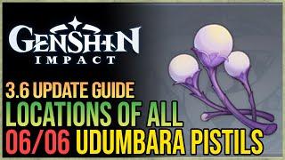 All Udumbara Pistil Locations Genshin Impact