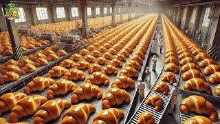 How Millions of Croissants Are Made in a Factory | Croissants Factory Process