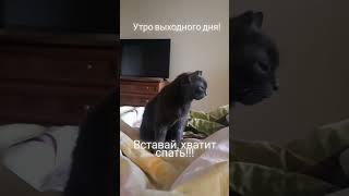 блинов хочу!!!