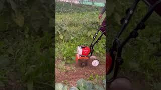 Mini Power tiller weeder 52cc #farming #polyhouse #agriculture #polyhousefarm #garden #multicropping