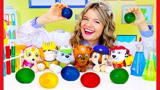 Toddler Learning Video: Easy Science Experiments for Toddlers with Paw Patrol and Speedie DiDi