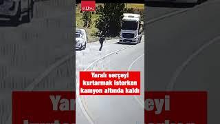 Yerde yatan yaralı serçeyi kurtarmak isteyen şahıs kamyon altında kaldı #shorts #keşfet