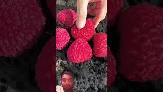 Collect fresh qualityful taste fruits#fruit #nature #garden #gardening #vegetables