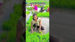 #video - हरनवे धई धई  दबाता - #SamarSingh - Haranwe Dhai Dhai Dabata - #neharaj - Bhojpuri Song 2025