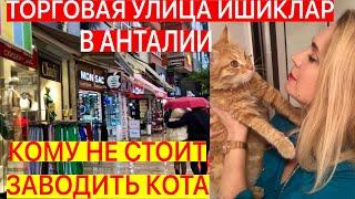 ТОРГОВАЯ УЛИЦА ИШИКЛАР В АНТАЛИИ/КОМУ НЕ СТОИТ ЗАВОДИТЬ КОТА