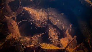 Gregs Turtle Haven is live!