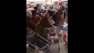 Everything is OK in Russia. Fight for sugar in supermarket.