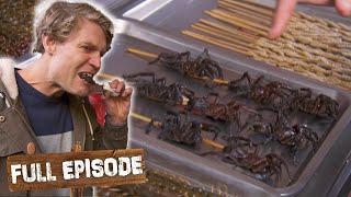 Trying Fried Spiders In China!  | Travels With The Bondi Vet S03 E08 | Untamed