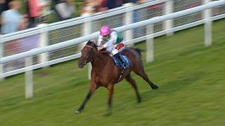 Remember the name! TASK FORCE looks special as the son of Frankel scores on debut!