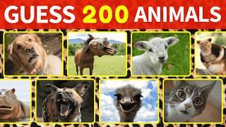 GUESS 200 ANIMALS  | Easy, Medium, Hard, Impossible!