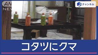 雪の中、家に帰ったら…コタツに“クマ”　何していた？【スーパーJチャンネル】(2024年12月24日)