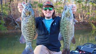 This NEW LURE Catches BIG SMALLMOUTH! | Spring Power Fishing