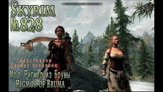 Skyrim s 828 Довакин Курьер