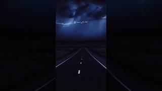 Untitled video