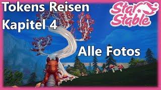 Star Stable Online deutsch: Tokens Reise - Kapitel 4 I Alle Fotos