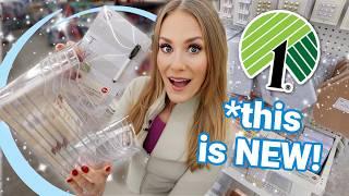 You’ll Swear It’s Target!  NEW Dollar Tree Home Organization & Cleaners! 