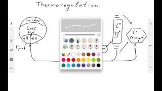 Thermoregulation