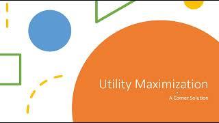 Utility Maximization: A Corner Solution