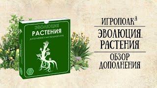 Эволюция. Растения.