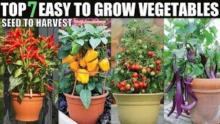 7 Vegetables That Are Too Easy To Grow | SEED TO HARVEST