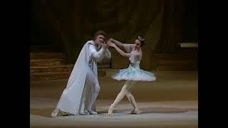 Raymonda: Natalia Bessmertnova and Yuri Vasyuchenko, Bolshoi 1989