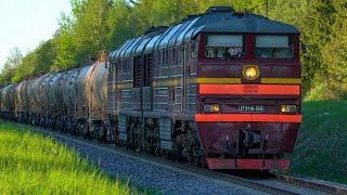 [LDz] Тепловоз 2ТЭ116-559 с цистернами / LDz 2TE116-559 with tank cars