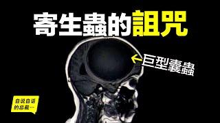 大腦中的寄生蟲：最前沿的寄生蟲研究，竟然發現了有關人體免疫的秘密，原來，寄生蟲使用了一個三角詛咒來控制人類……|自說自話的總裁