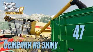 Farming Simulator 19 (Premium edition), прохождение #47 Уборка подсолнухов и начало покоса