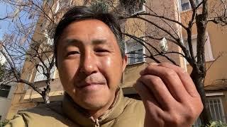 川普明确表态:美国不再援助乌克兰，不支持乌克兰加入北约！奉劝接受领土被占的事实！