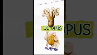 Octopus animation with premier pro, crop effects