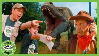 Park Ranger Finds a Mystery Letter in the Dinosaur Park  T-Rex Ranch Dinosaur Videos