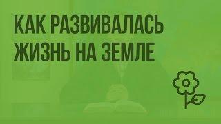 Как развивалась жизнь на Земле. Видеоурок по природоведению 5 класс