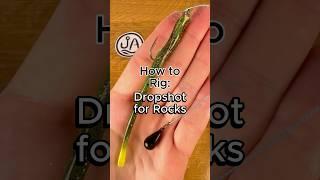 How to rig a dropshot for fishing in rocks #fishing #fishingtips #dropshot